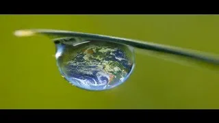 Miniature : formation  Environnement