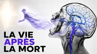 Miniature : Mort imminente : ce qu’ils ont TOUS vu de l’autre côté