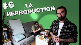 Miniature : Histoires Naturelles - #06 La reproduction