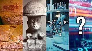 Miniature : La grande histoire de la psilocybine