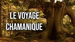 Miniature : Le voyage chamanique