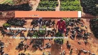 Miniature : 🌱 Campagne 2026 de distribution des plants greffés d’anacardiers subventionnés :#pourtoi #fyp #reels