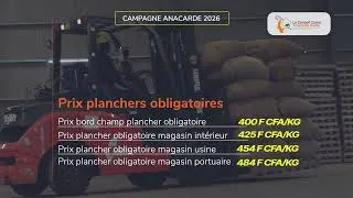 Miniature : 📢🌰 CAMPAGNE ANACARDE 2026 : RESPECTONS LES PRIX OFFICIELS FIXÉS PAR LE GOUVERNEMENT ! : #agriculture