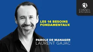 Miniature : Les 14 besoins fondamentaux