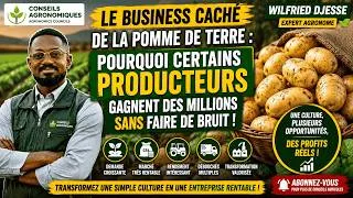 Miniature : Le Business Caché De La Pomme De Terre