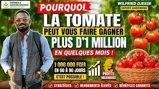 Miniature : Pourquoi La Tomate Peut Vous Faire Gagner Plud D' 1 Million En Quelques Mois