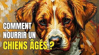 Miniature : Nourrir les Chiens Âgés : Les Clés d'une Alimentation Adaptée à Leurs Besoins Nutritionnels