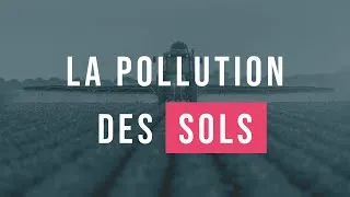 Miniature : 15 minutes pour comprendre facilement la pollution des sols