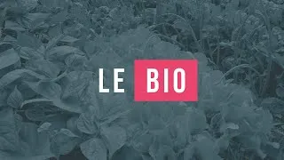 Miniature : 15 minutes pour comprendre facilement le bio