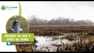Miniature : 🌿 Mesurer l’impact réel de la restauration écologique, ça se passe aussi sous nos pieds (vidéo 3')
