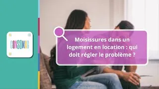 Miniature : Moisissures dans un logement en location : qui doit régler le problème ?