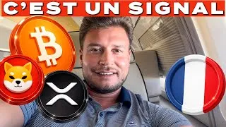Miniature : Bitcoin, XRP et Shiba Inu 🟢 Prépare-toi dès maintenant