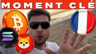 Miniature : Bitcoin, Shiba Inu et Solana 🔵 Comment est-ce possible