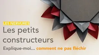 Miniature : LPC3 - Stand : Les nervures