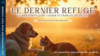 Miniature : Offrir une fin de vie digne aux animaux : l’émouvant combat du Petit Mouton Noir #podcast