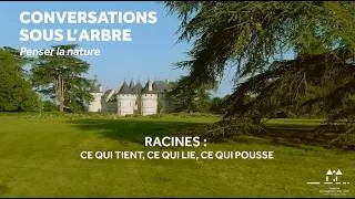 Miniature : Laisser parler les racines