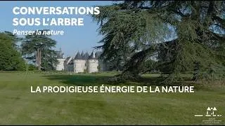 Miniature : Du corps au cosmos, l'énergie du vivant