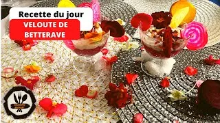 Miniature : Velouté de betterave au chèvre frais