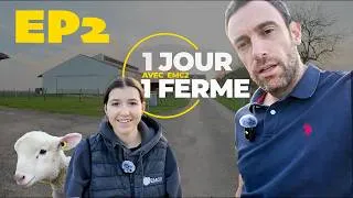 Miniature : 1 JOUR 1 FERME - EP2