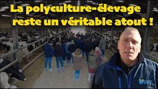 Miniature : La polyculture-élevage reste un véritable atout !