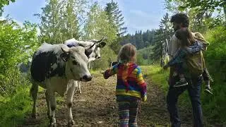 Miniature : La Force du Collectif - Bande-annonce Parler aux arbres