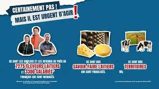 Miniature : 💥L'Emmental français en danger ?