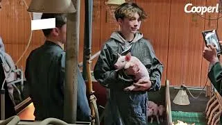 Miniature : Journée découverte pour le lycée Pommerit