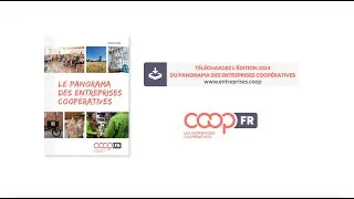 Miniature : Les entreprises coopératives, des actrices incontournables de l’économie française - Panorama 2024