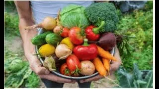 Miniature : zoom sur la Sécurité Sociale alimentaire proposé par la CoopMutActrice le 22 mai 2025