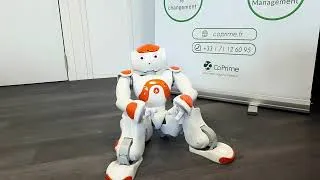 Miniature : NAO