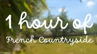 Miniature : 1 hour of French Countryside near Strasbourg (Alsace) - フランス田舎の一時間