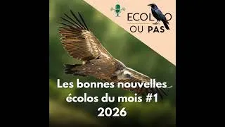 Miniature : Bonnes nouvelles écologiques – Janvier & Février 2026 : PFAS, viande, biodiversité, transport