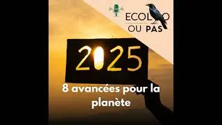 Miniature : Bilan écolo 2025 : 8 avancées positives pour la planète (biodiversité, climat, énergie, société)