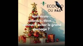 Miniature : Noël écolo : idées cadeaux, déco responsable, impact des fêtes et alternatives durables