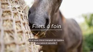 Miniature : Pourquoi installer un filet à foin ? L'allié bien-être et santé de votre cheval !