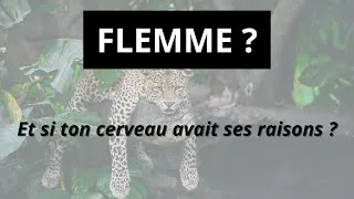 Miniature : « FLEMME » Et si ton cerveau avait ses raisons ?