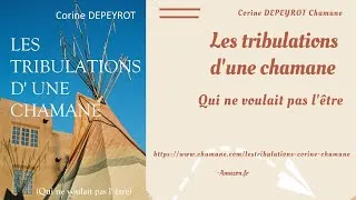 Miniature : Les tribulations d 'une chamane