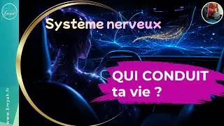 Miniature : Système Nerveux : Es-tu en mode SURVIE sans le savoir ?