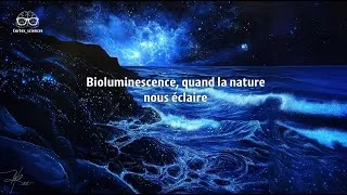 Miniature : 🌊 Un article, une écoute – Podcast Bioluminescence : quand la nature nous éclaire