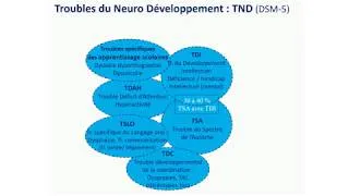 Miniature : Conférence sur les troubles du neurodéveloppement par Vincent des Portes - Semaine du Cerveau 2019