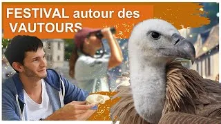 Miniature : [Festival SNORC 2023] Autour des vautours