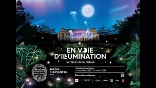 Miniature : En voie d’illumination 2025