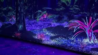 Miniature : COSMO AV - Cinémathèque James Cameron