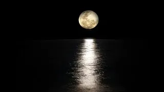 Miniature : Sous l'emprise de la Lune : comprendre les marées
