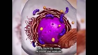 Miniature : Hélice ensorcelante, chanson sur l'ADN (clip vidéo)