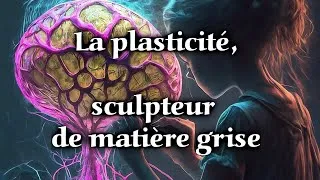 Miniature : Sculpteur de matière grise (chanson sur la plasticité cérébrale, format 4:3)