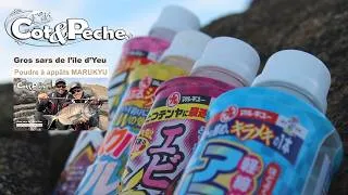 Miniature : Les gros sars de l’île d'Yeu... Les poudres à appâts MARUKYU !