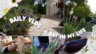 Miniature : 🌼ma vie à la campagne🌼daily vlog, journée caniculaire, reset, création, slowliving