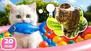 Miniature : Le chaton Kefir et le requin vivent des aventures pleines de surprises