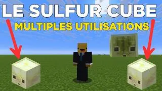 Miniature : TOUT SAVOIR SUR CE NOUVEAU MOB/BLOCK MINECRAFT !!!